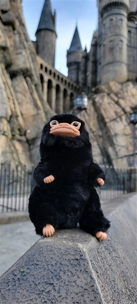 Niffler