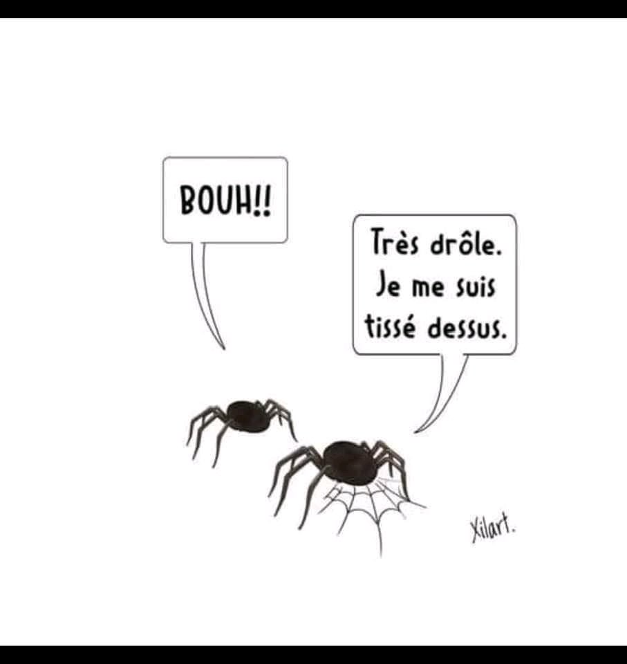 Joyeux Halloquoi ? 🤔