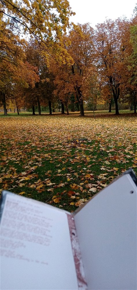 🍂