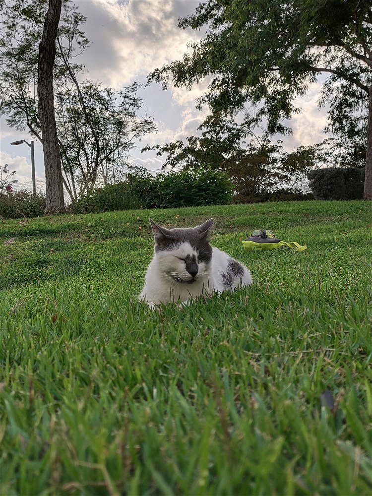 😺