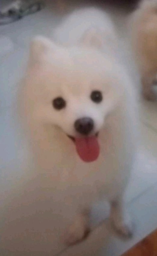 Everybody, Meet Salt