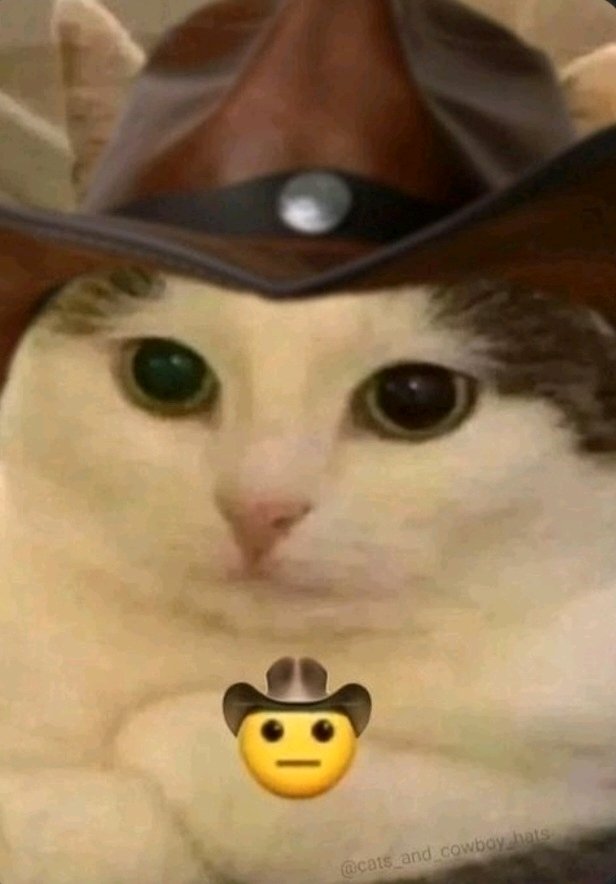 🤠