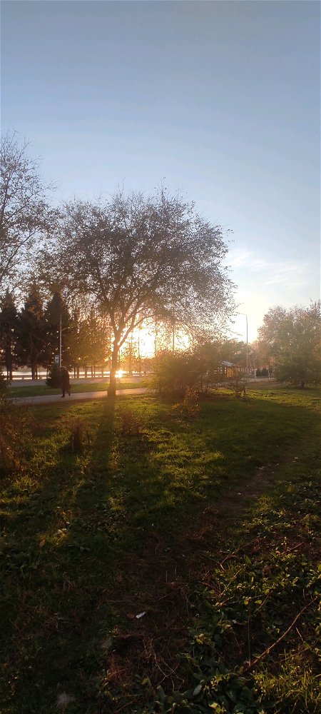 Простая мысль
