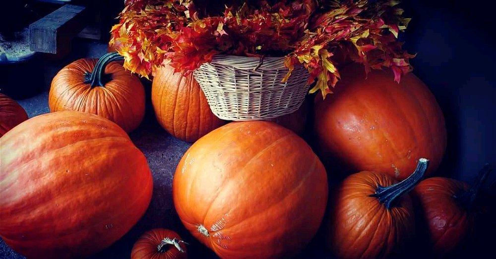 Pumpkins