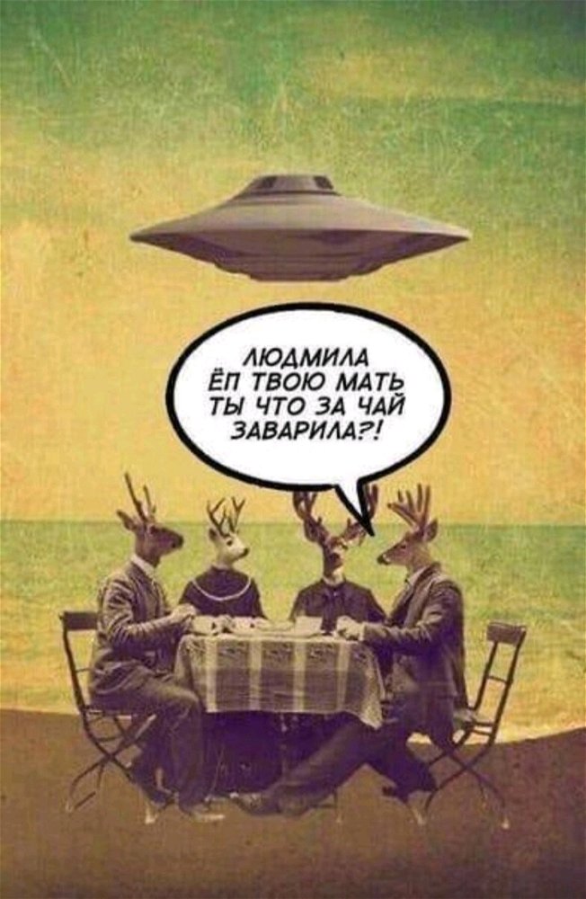 😂🤣👋