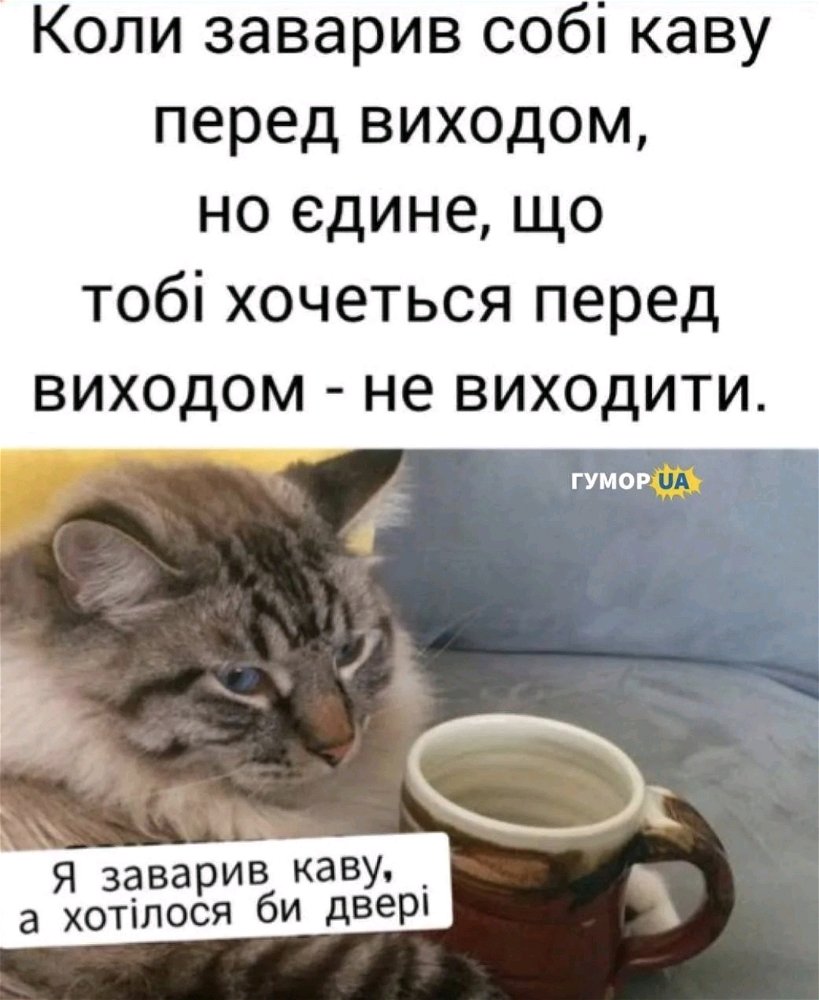 Небайдужість може вражати 😅