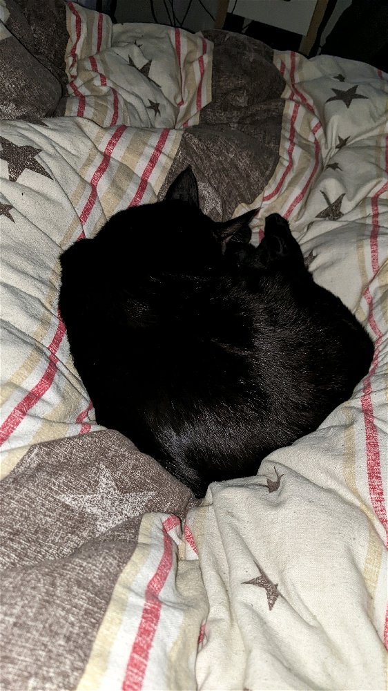 This is pixel