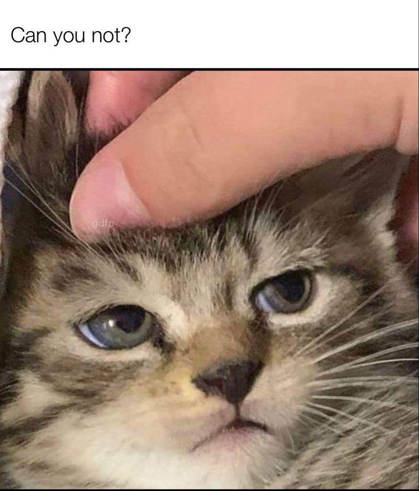 Please ask first