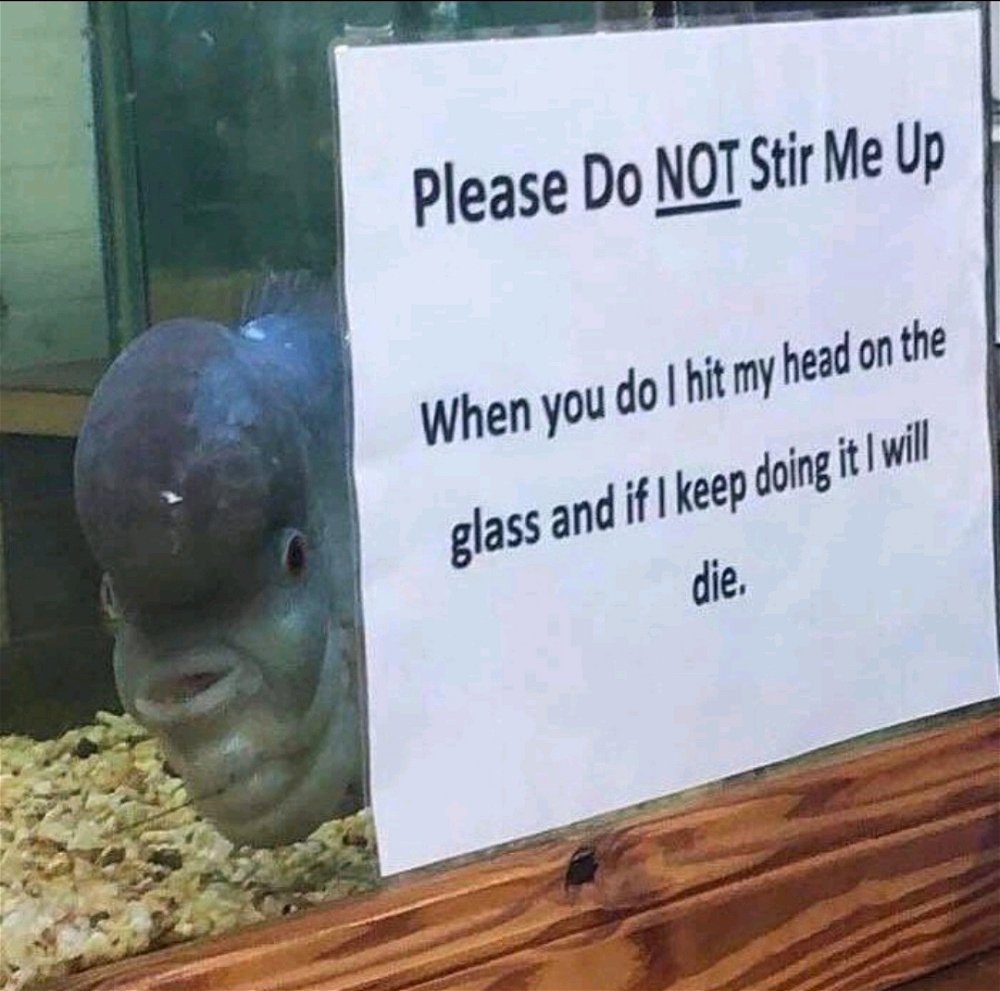 Lol