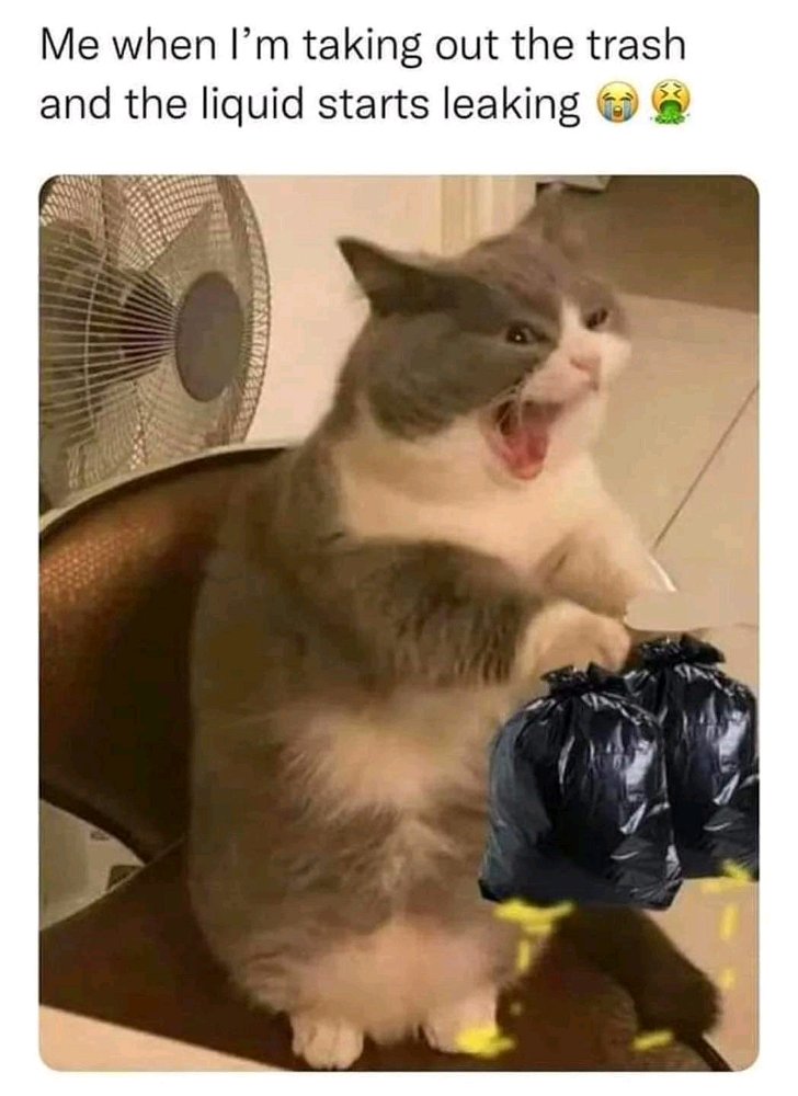Run!