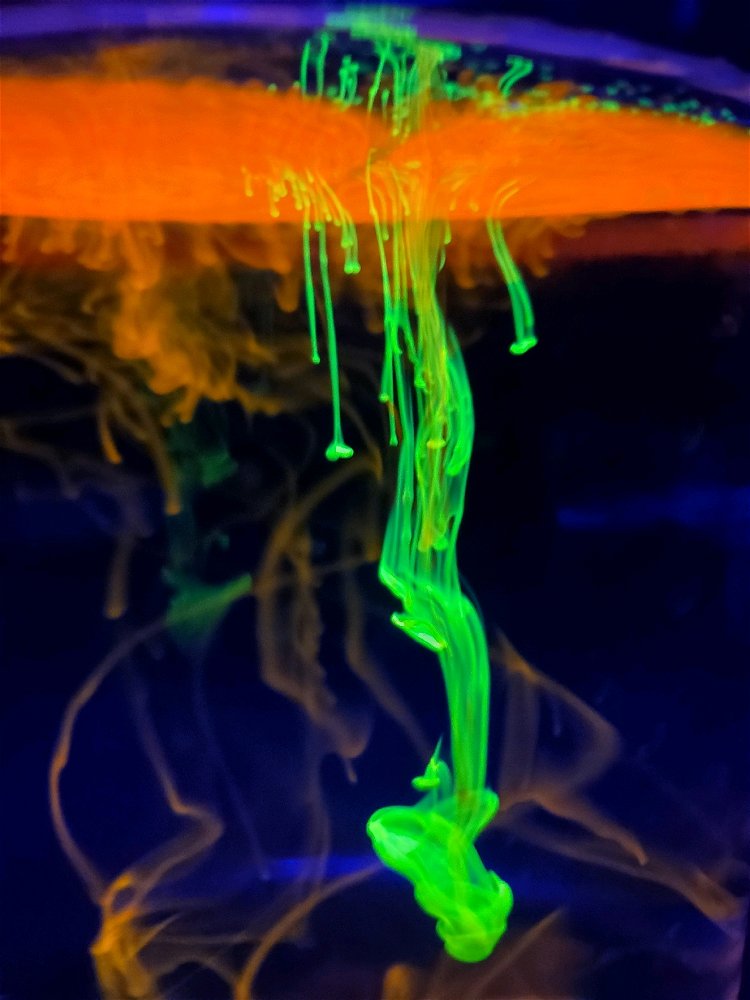 Luminescence