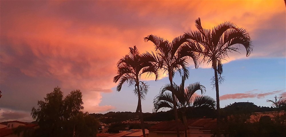 🌇🧡