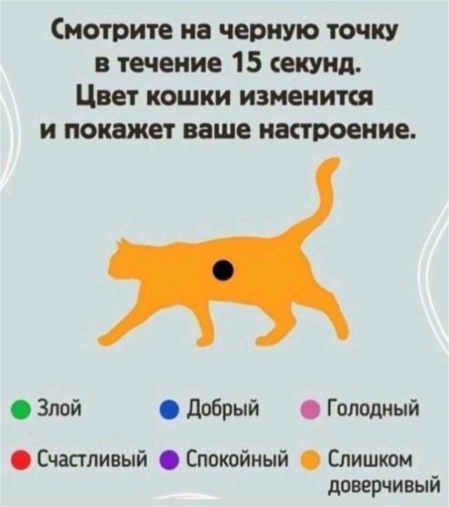 Бодрого утра😌
Что по настроению дамы и господа? 🙃