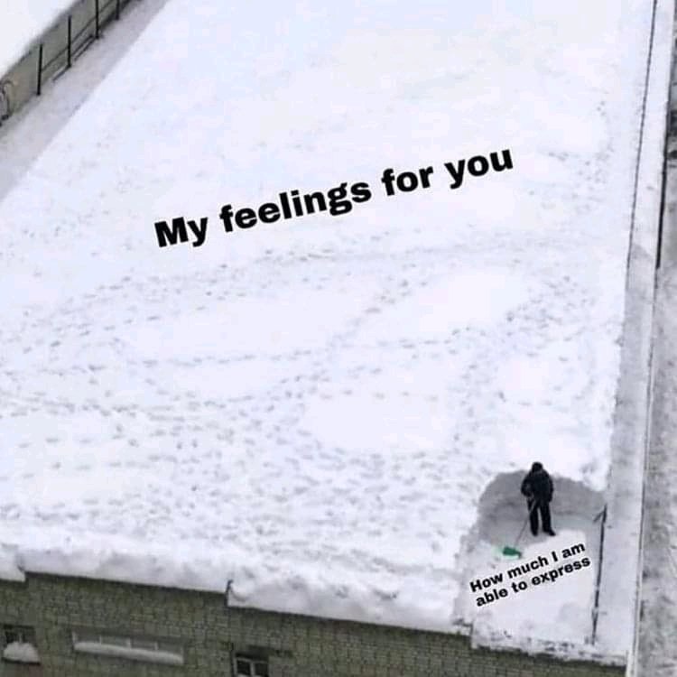 Damit I like you