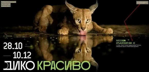 Пошли на выставку
