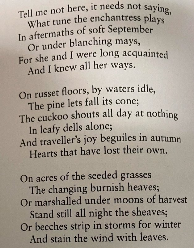 🎶 🍂