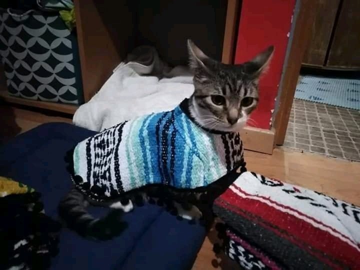 Uno como quiera con este frío pero la criaturita¿??