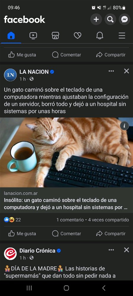 Ojo con los michis 🤣