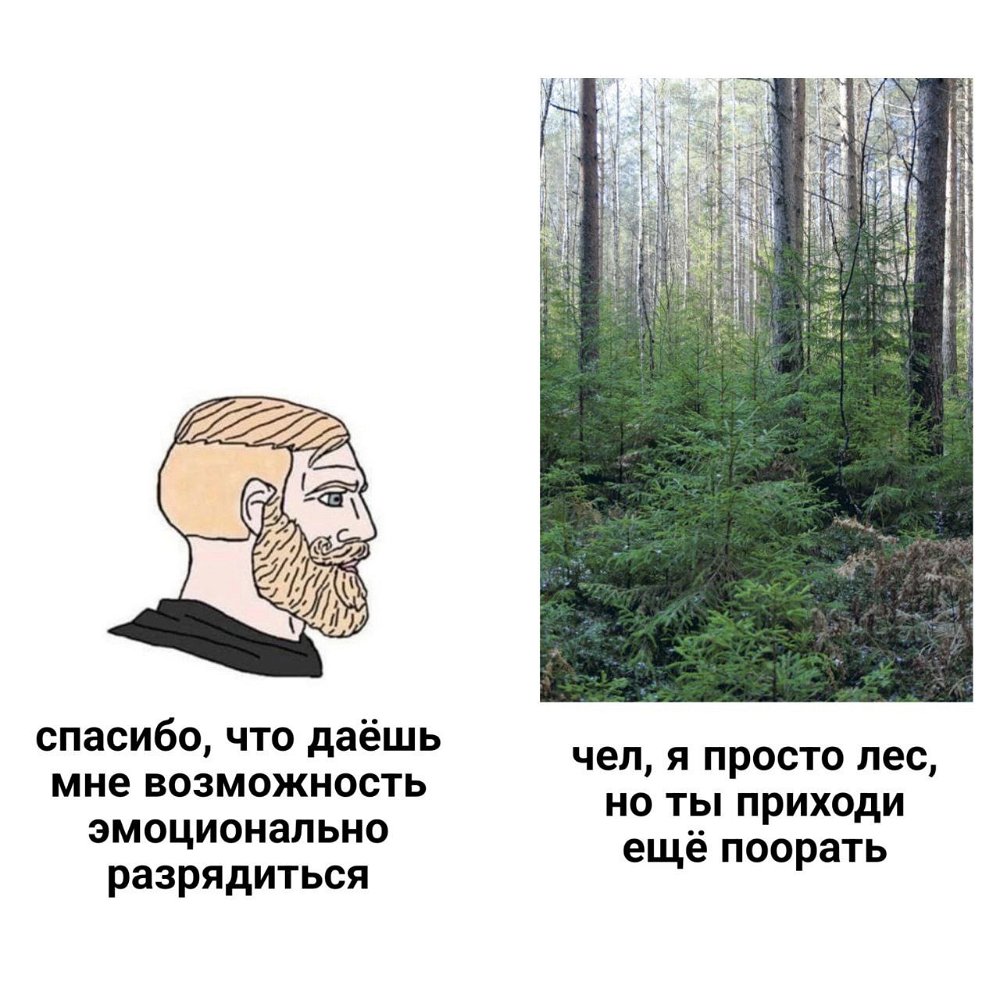 🌳 🌳 🫨 🌳 🌳