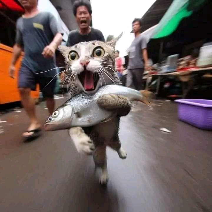 Run boy runn