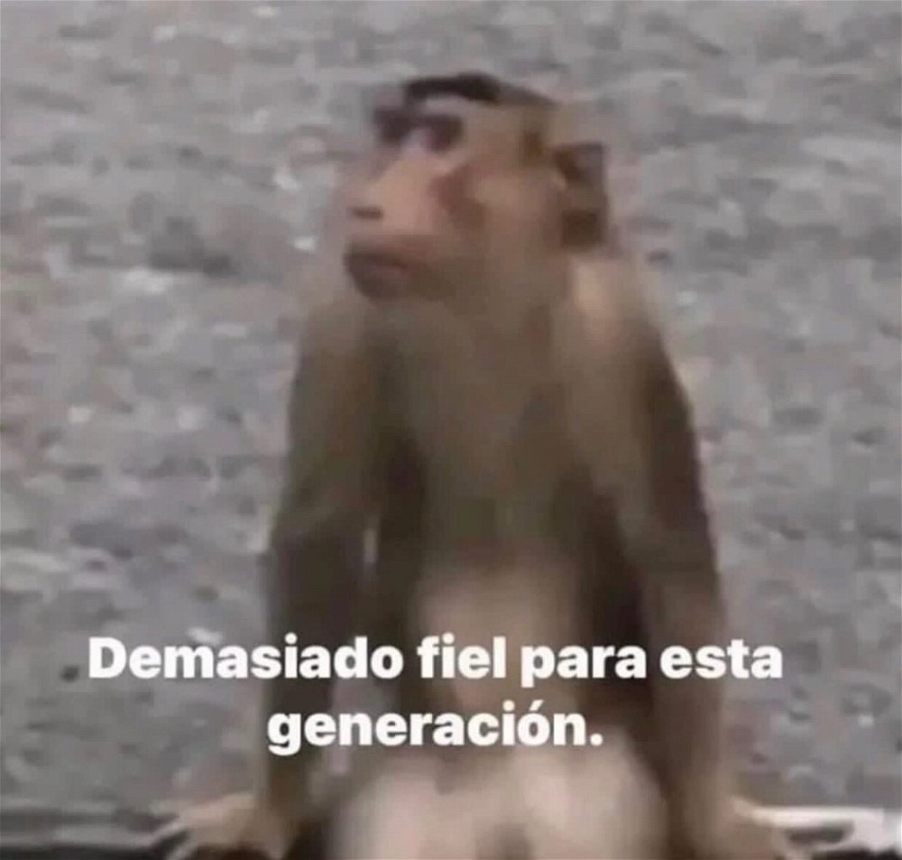 Si soy