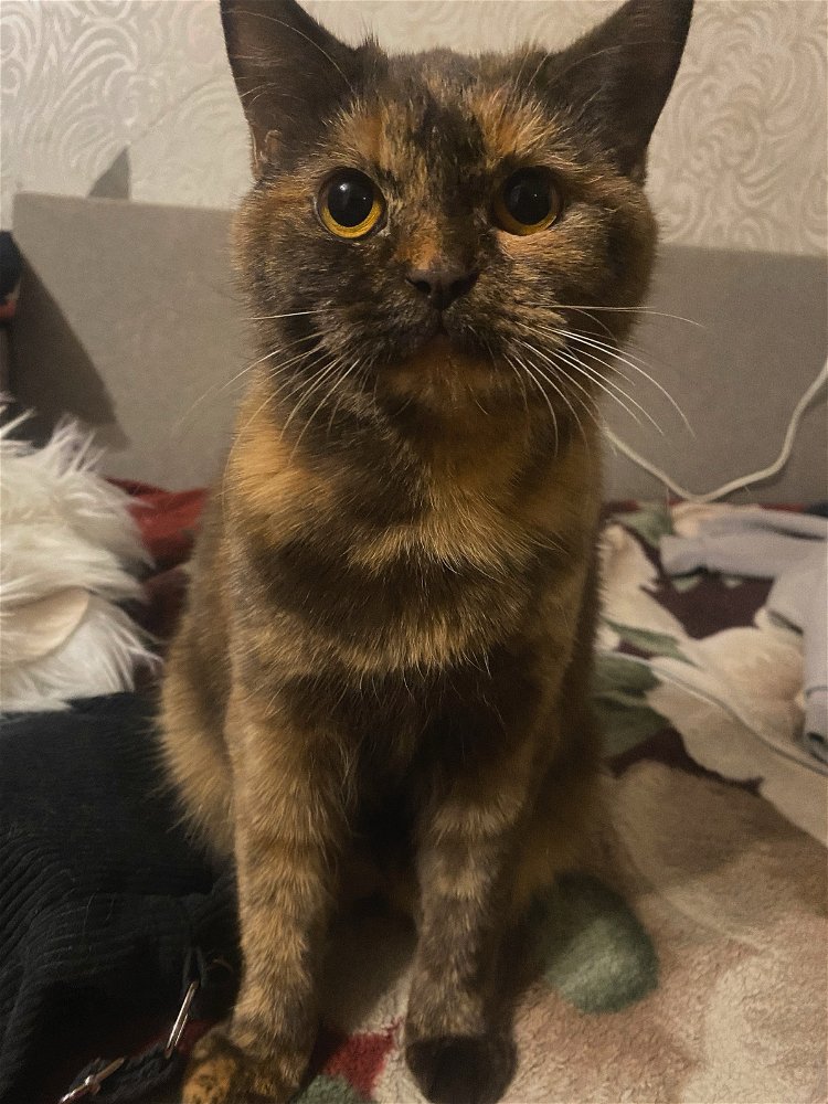 Мой мир❤️