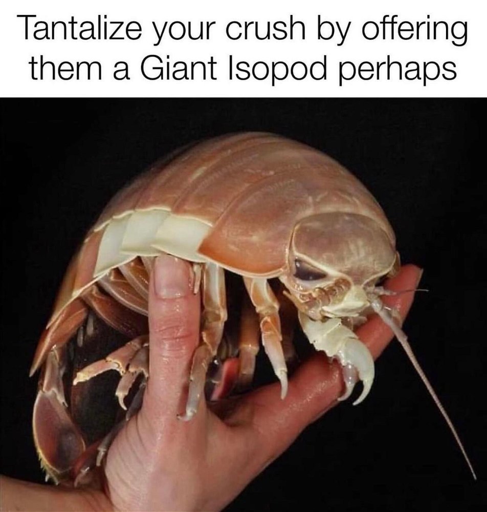 When you’re trying to impress someone, but you have a niche hobby