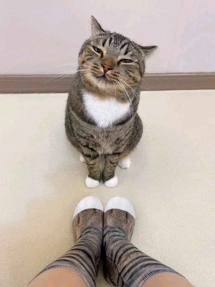 Matching toe