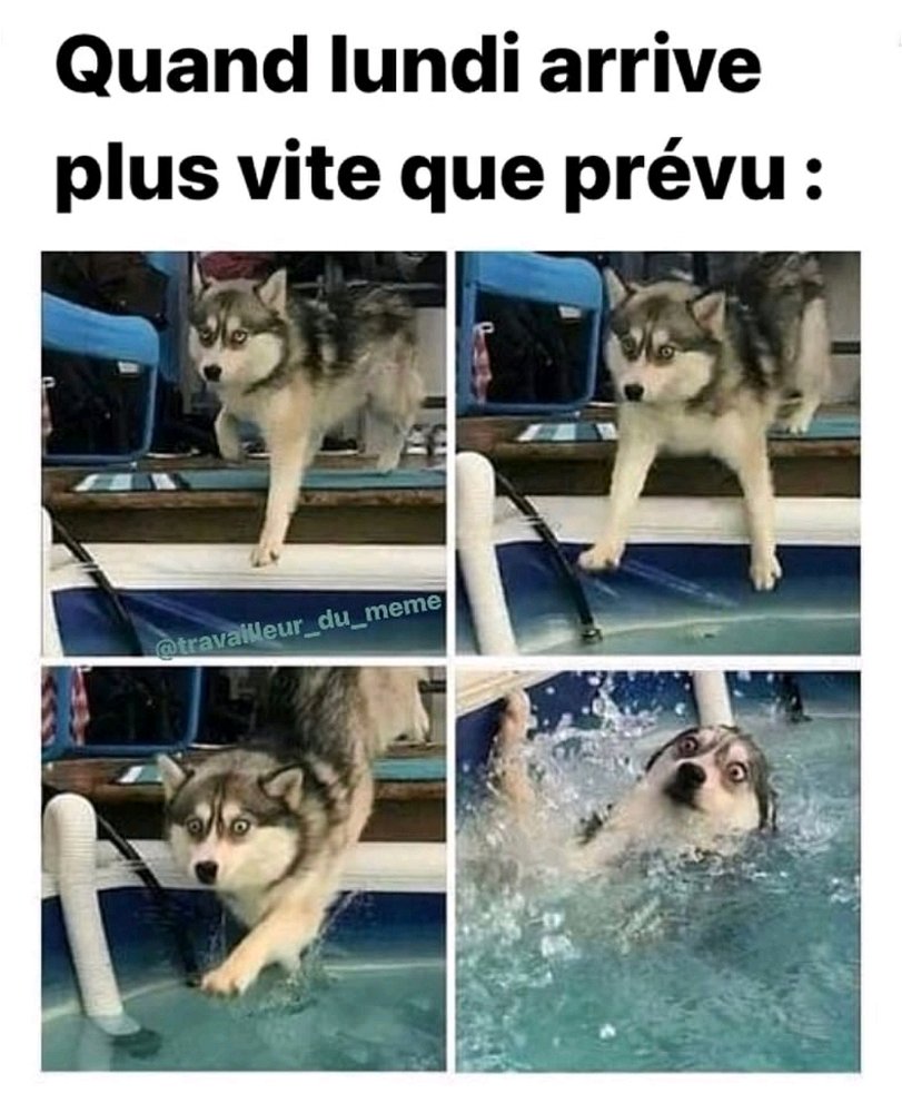 🤣🤣🤣🤣🤣🤣🤣