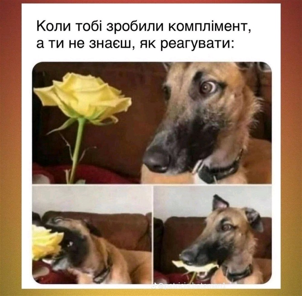 Приймати компліменти теж потрібно вміти🏵️