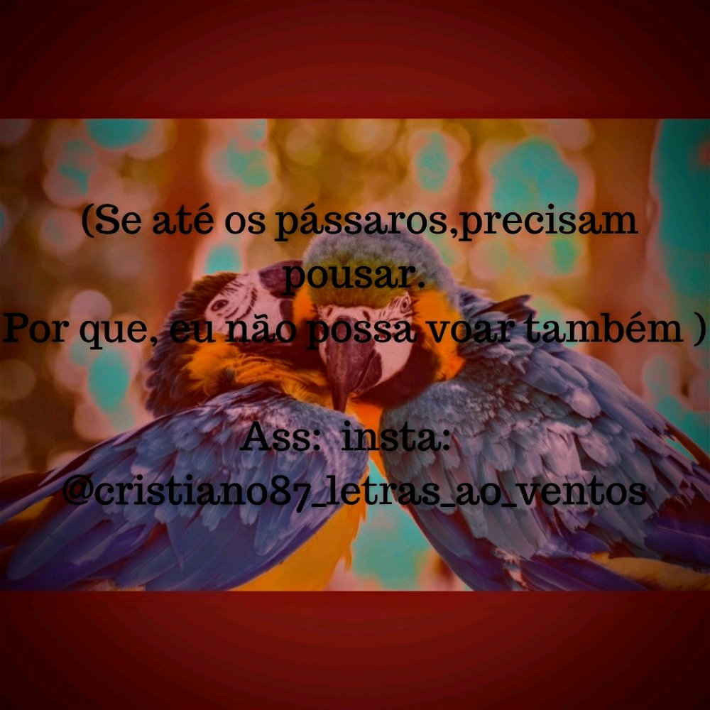 #pensamentos