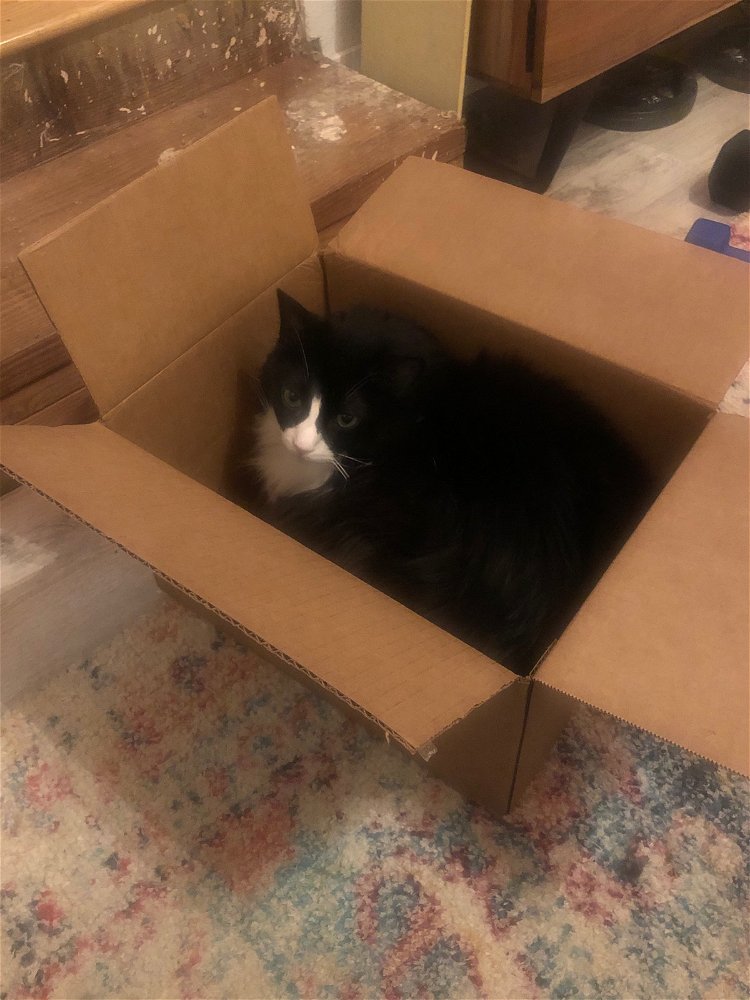 He’s in the box