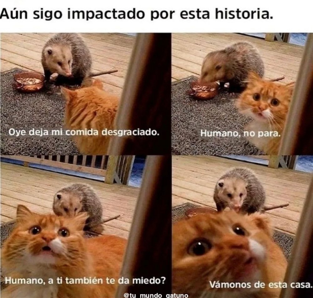 La mejor historia jamas contada ❤️
