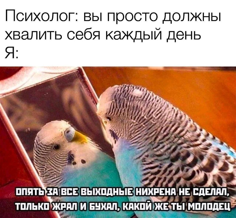 А Я хорош!