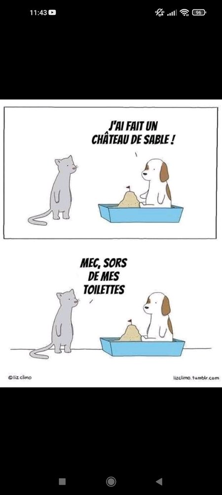 Litière