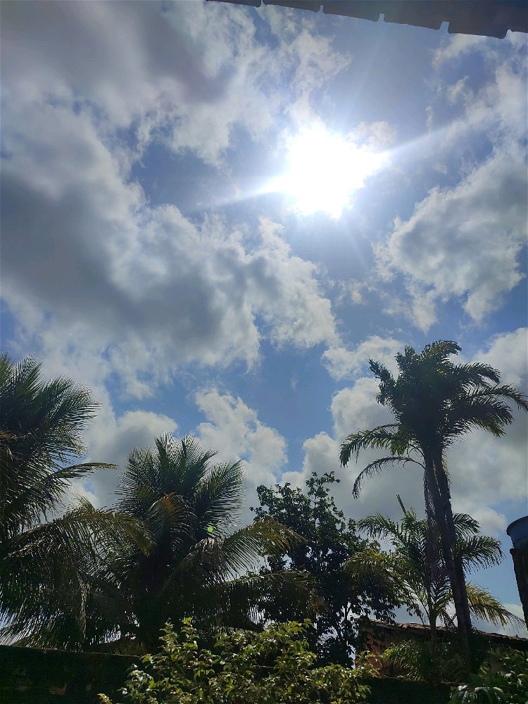 Bom dia ☀️