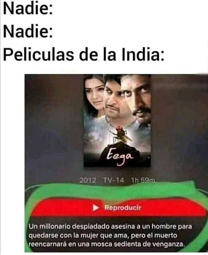 Xd