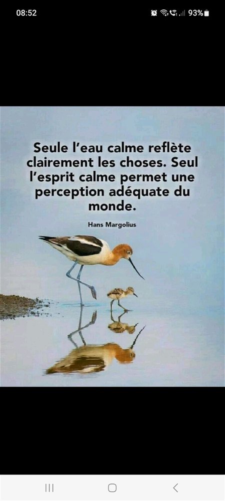 Bon lundi, et bonne semaine à tous! 🤗