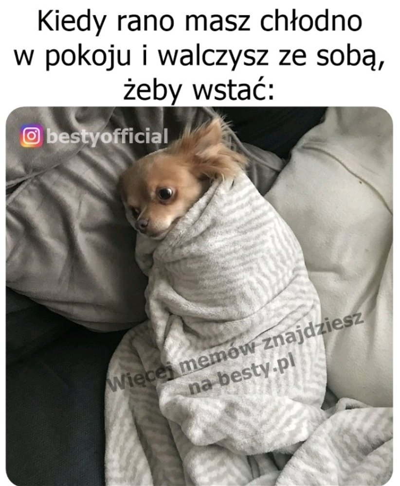 Gdy w końcu zasnąłeś i po 3 godzinach dzwoni budzik bo musisz już wstawać