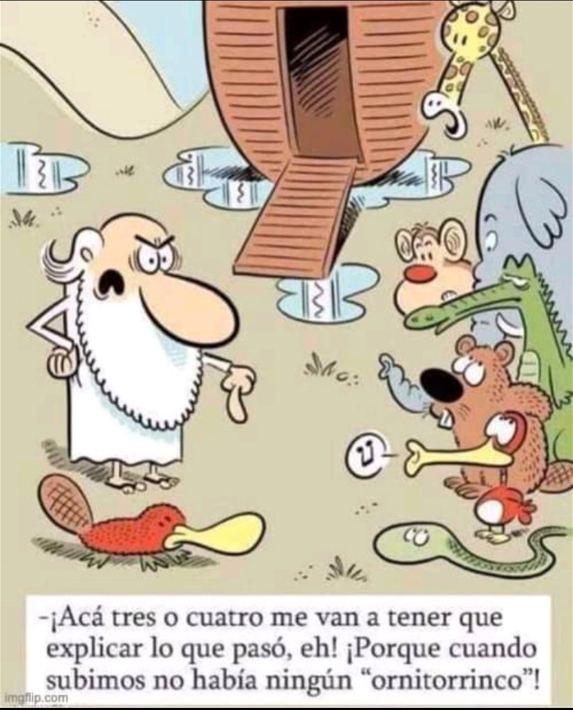 🤭🤣