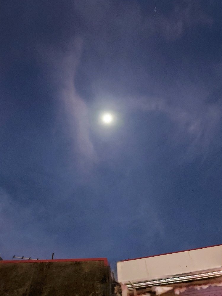 🌙