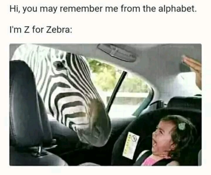 🤣🤣😂💀