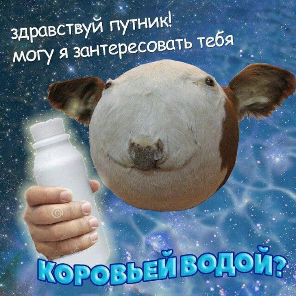 Это мой любимый мем. И я делюсь им с вами