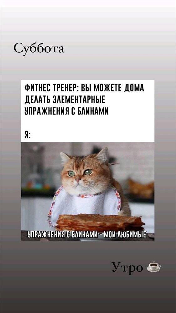 Доброе утро, котятки