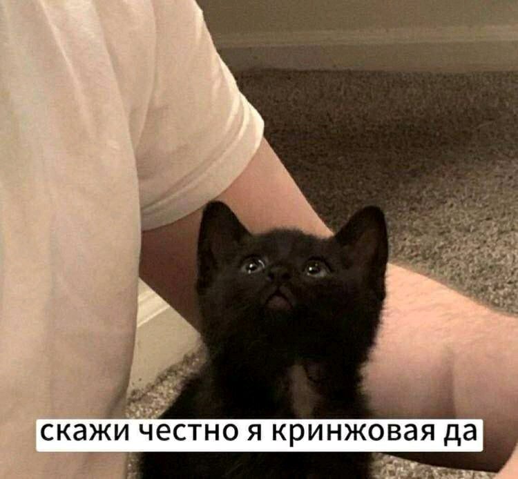 Только честно
