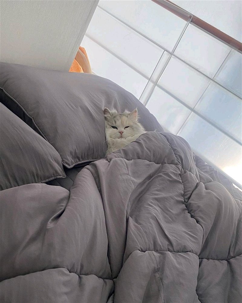 Споть😴