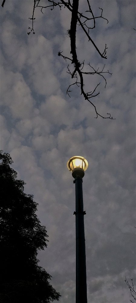 La luz eterna
