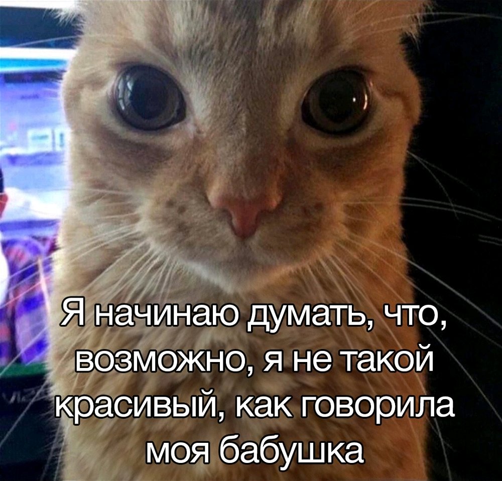((