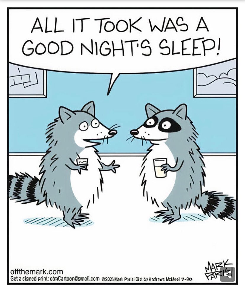 Don’t stay up all night too often, go get some sleep 🦝💤