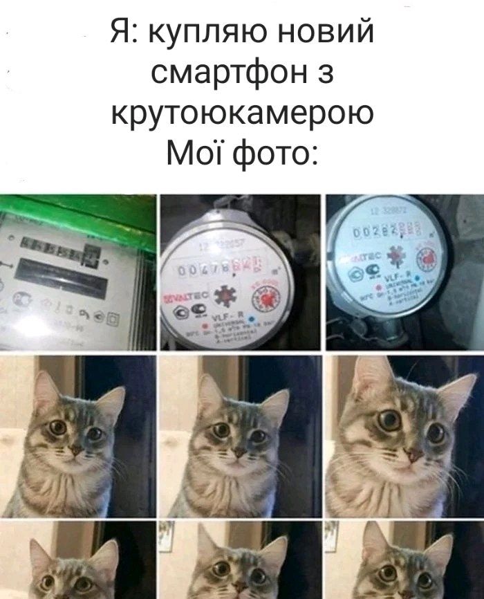 😼